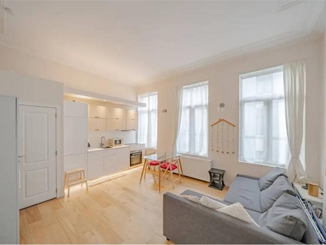 te koop Appartement Elsene