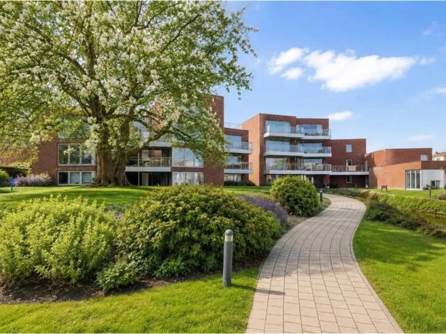 te koop Appartement Ronse
