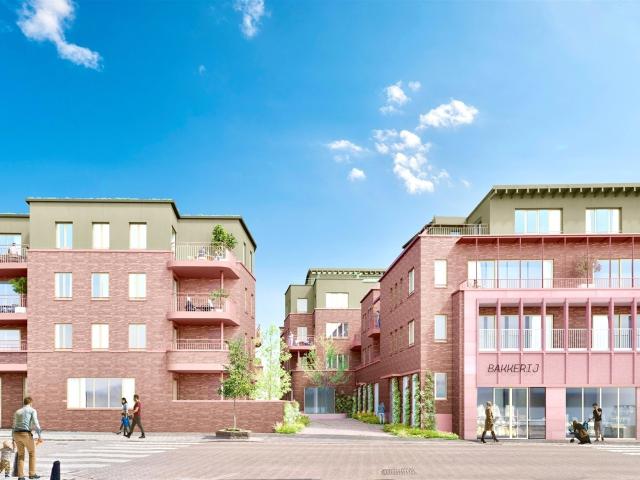 te koop Appartement Ronse