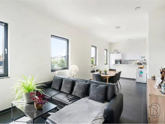 te koop Appartement Ronse