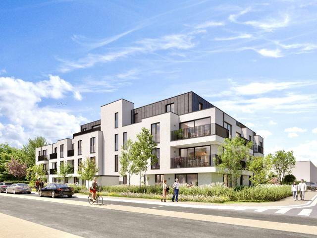 te koop Appartement Ronse