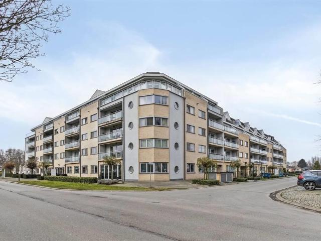 te koop Appartement Willebroek