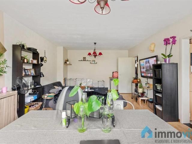 te koop Appartement Wilrijk