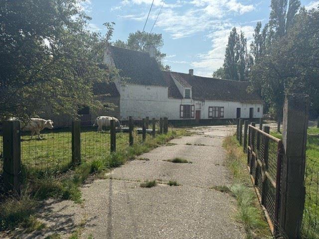 te koop Boerderij Hoeve Koolkerke