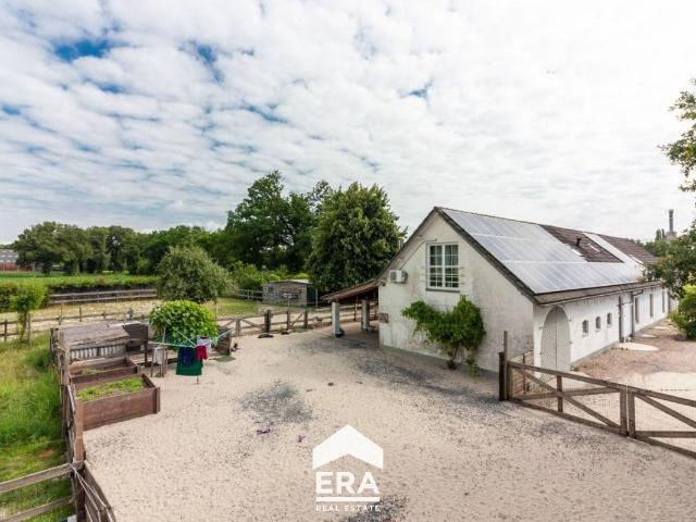 te koop Boerderij Hoeve Peer