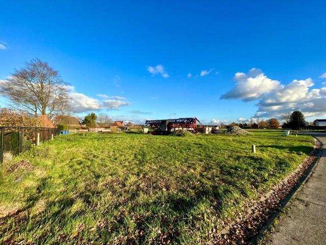 te koop Bouwgrond Westerlo