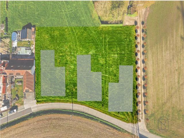 te koop Grond Wortegem Petegem