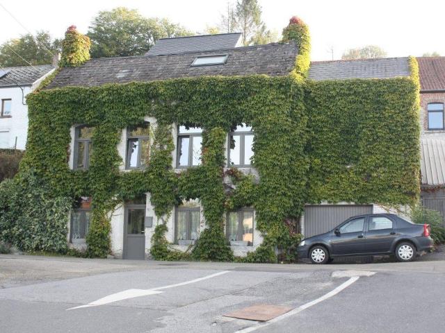 te koop Huis Cerfontaine