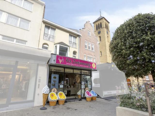 te koop Huis gemengd gebruik De Panne