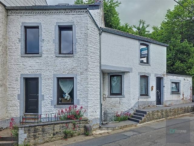te koop Huis Silenrieux