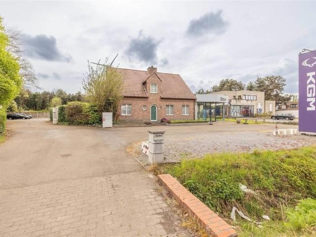 te koop Handelspand Geel
