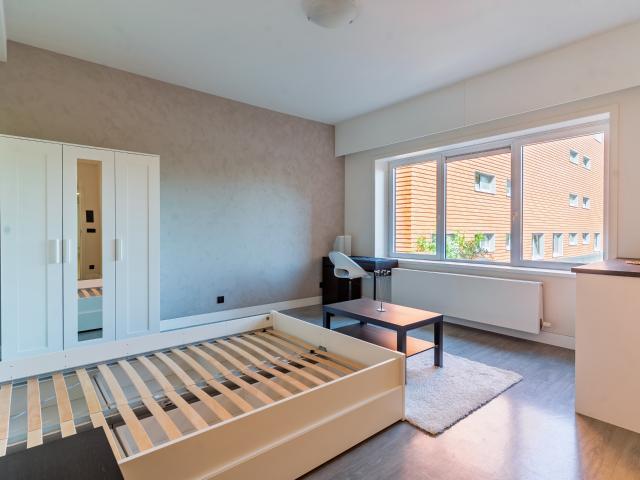 te koop Kot Gent