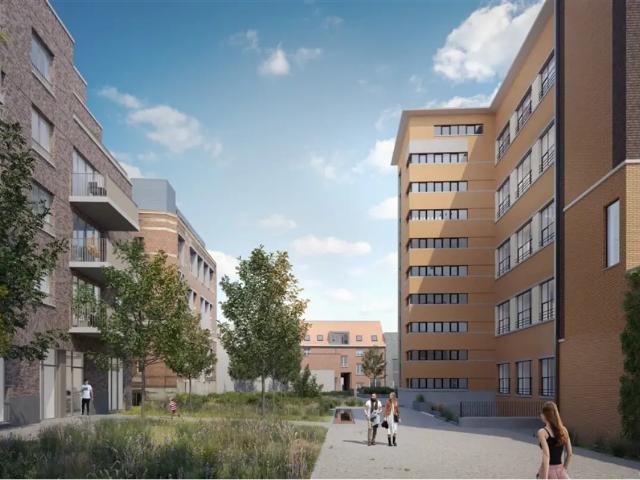 te koop Kot Kortrijk