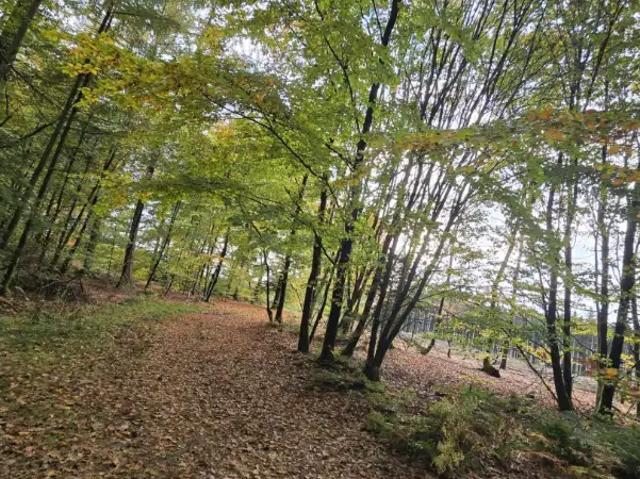 te koop Landbouwgrond Vaux sur Sûre