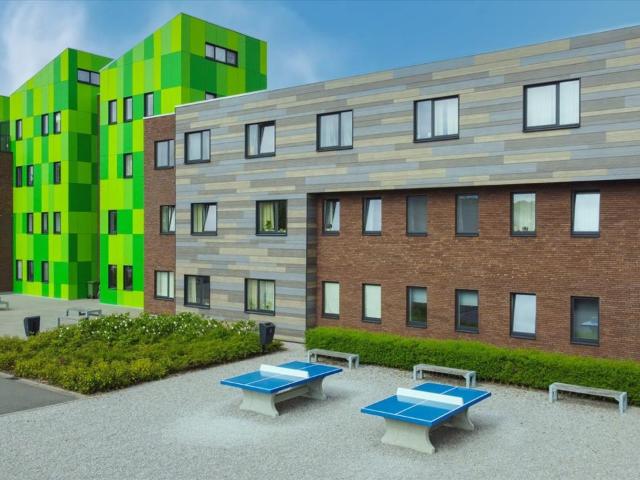 te koop Kot Brugge