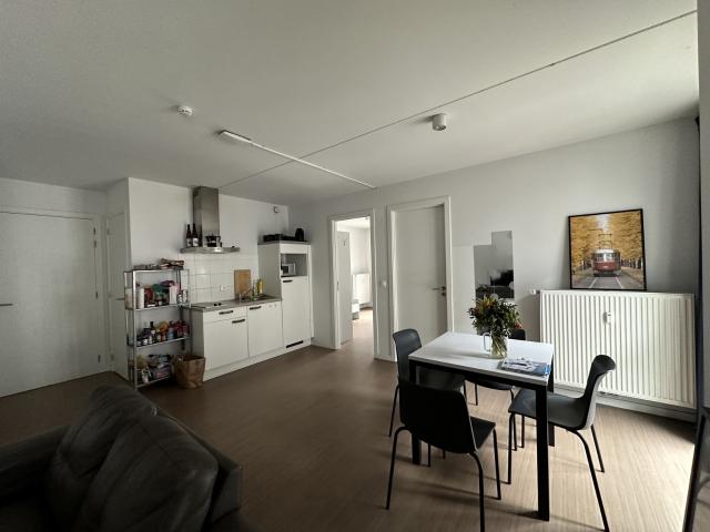 te koop Kot Brussel