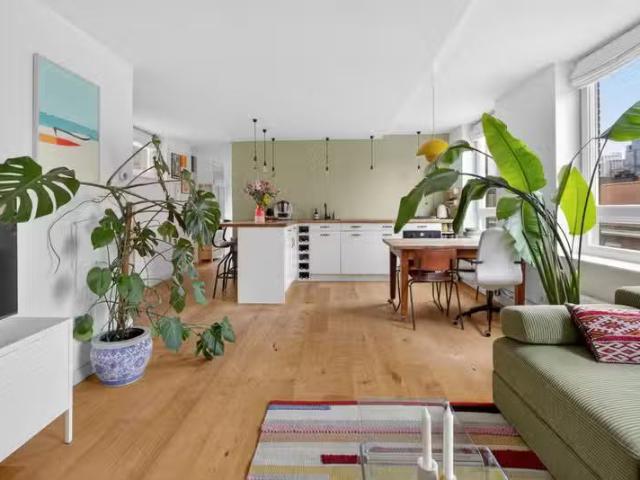 Te koop: Vaalrivierstraat 3B, 1091 PC Amsterdam