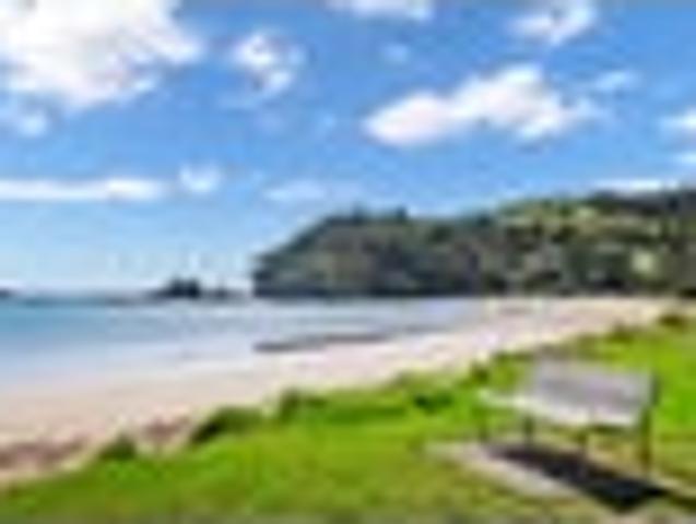 Te Ngaere Bay Kiwi Bach Price Slashed