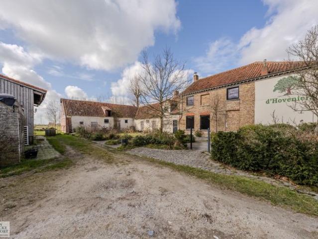 Te renoveren hoeve op 1,6 ha