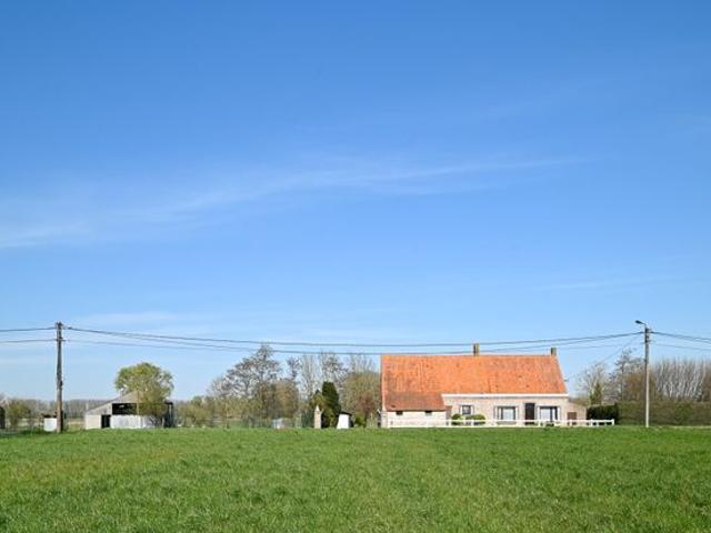 Te renoveren hofstede op toplocatie te Damme
