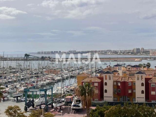 Tema de Torrevieja