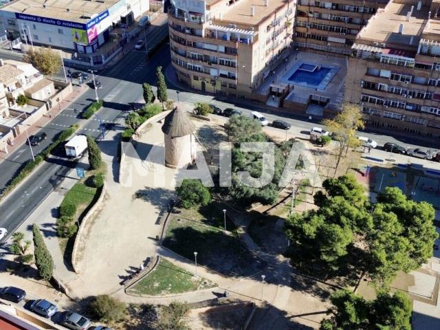 Tema Torrevieja El Molino