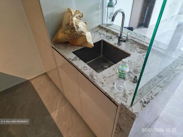 Tembusu Grand D15, Condominium