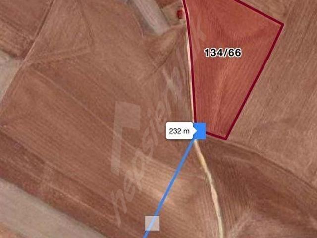TEMELLİ BACI'DA 12.426 m2 TEK TAPU KUPON TARLA