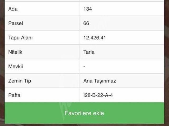 TEMELLİ BACI'DA 12.426 m2 TEK TAPU HARİKA KONUM'DA TARLA