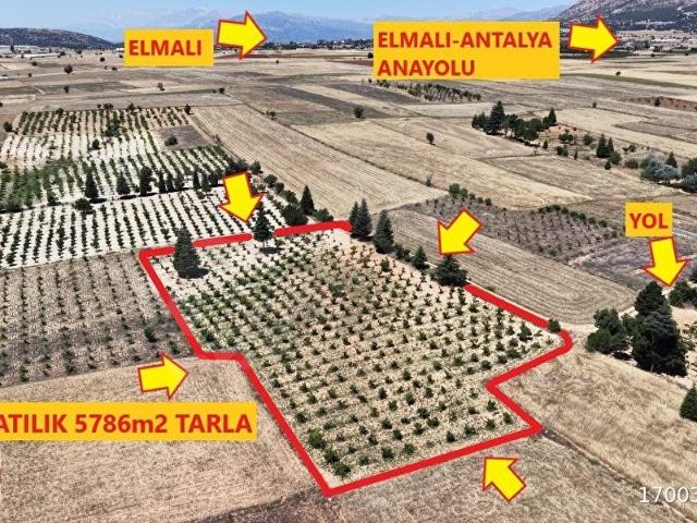 TEMİZÖZ EMLAKTAN 5786m2 SATILIK ASMA BAHÇESİ