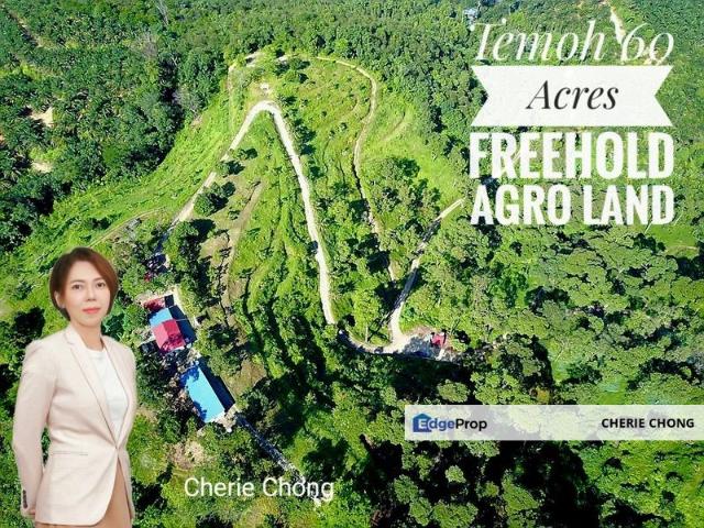 Temoh 60 Acres Agricultural Land With Old Trees Durian Best For Campsite
