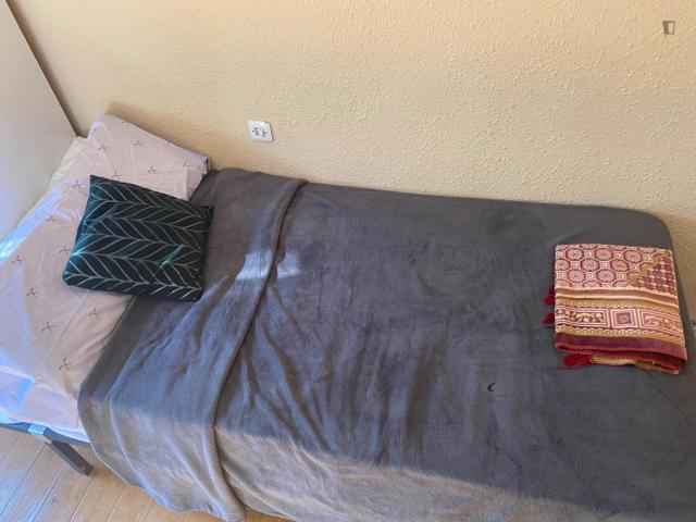 Tempting Single Bedroom close to University of Alicante