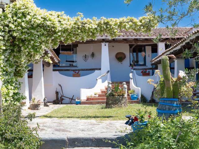Tenuta con oliveto e casale in classe A1, Galtellì, Nuoro 1000m² Galtellì
