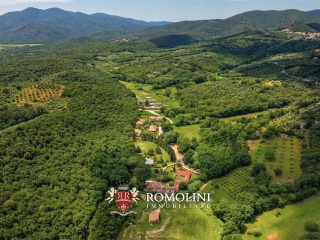Tenuta Con Country Hotel, Spa E Vigneto In Vendita In Maremm. m² Gavorrano