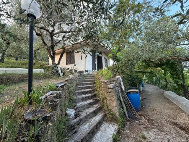 TENUTA AGRICOLA DI PREGIO 3.000 mq con Casa, Uliveto, Vigneto, Pozzo e Strutture