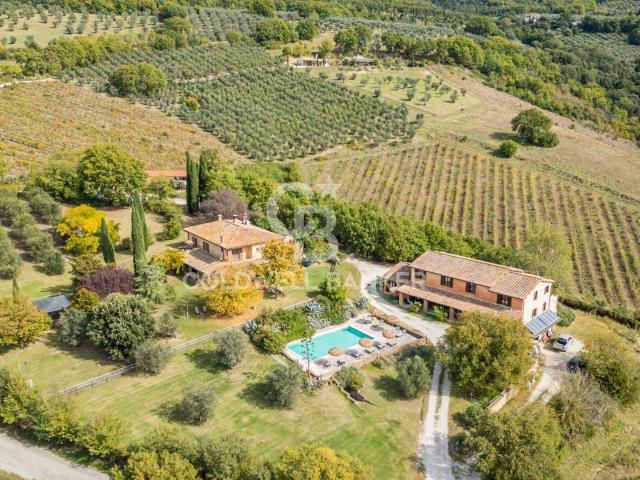 Tenuta in vendita a Montecchio