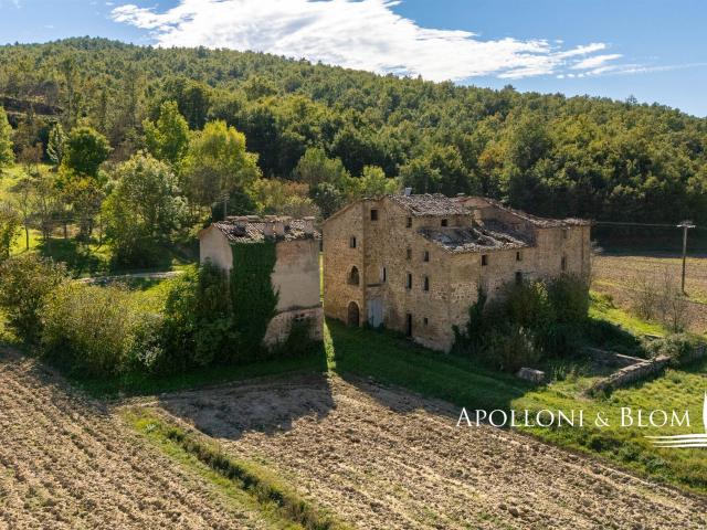 Tenuta Il Castagneto con 60 ettari, da recuperare Città di. 1100m² Città di Castello