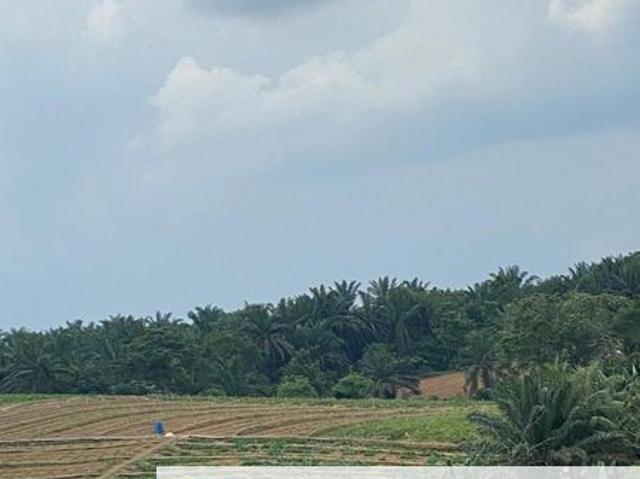 Tebrau Zoning Residential land