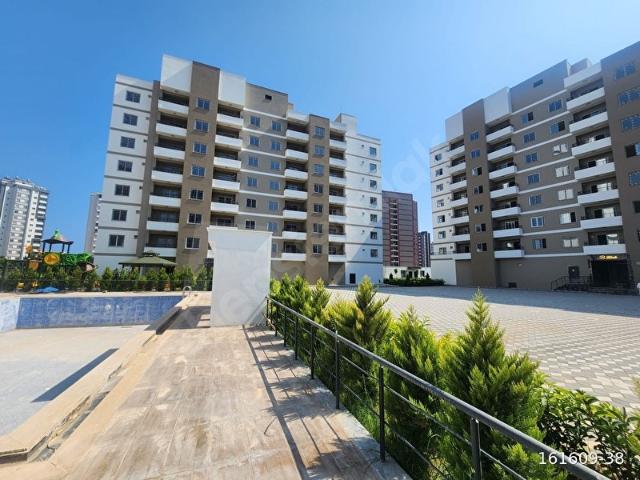 TECE DE BÜYÜK FIRSAT 1+1 DAİRE HAVUZLU SİTE İÇİ İSKAN ALINDI