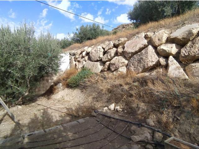 TEERRENO CON TODOS LOS SERVICIOS, AGUA, LUZ, RIEGO POR GOTEO ALMACEN AGRICOLA Y NAVE.OPORTUNIDAD