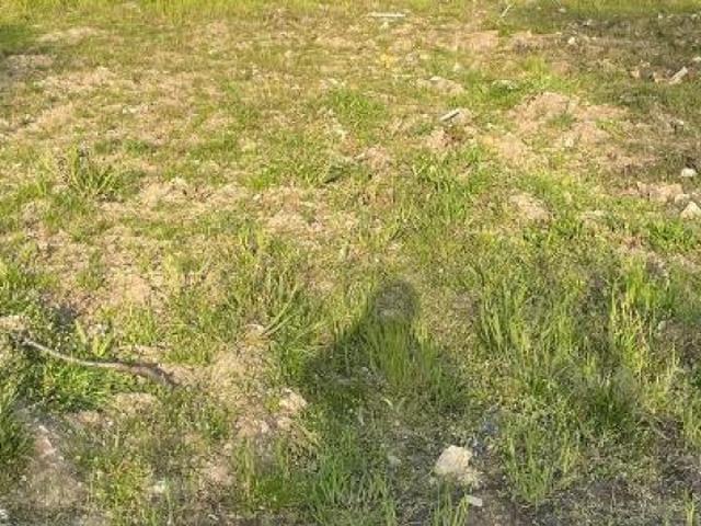 Teilgrundstück eine Doppelhaushälfte Errichten Sie Ihr neues Zuhause