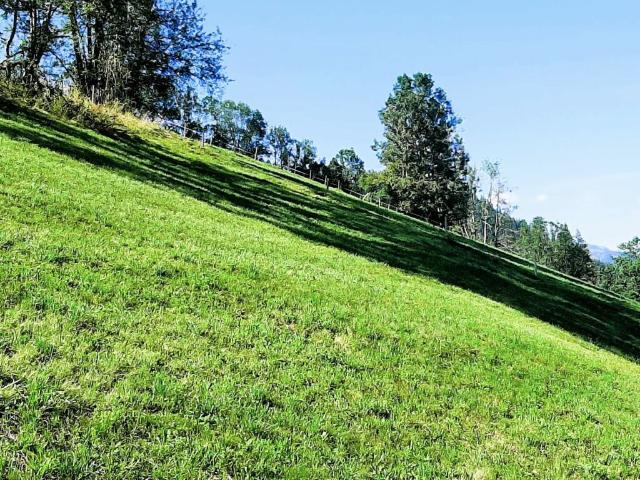 Teilerschlossenes Bauland an sonniger Hanglage in Zweisimmen BE