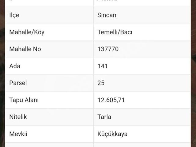 Tek ve Kök Tapu