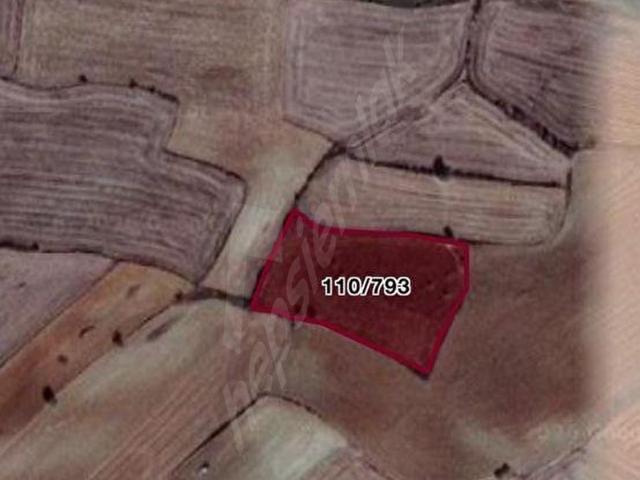 Tekirdağ Malkara Ballı Köyü Satılık Tarla