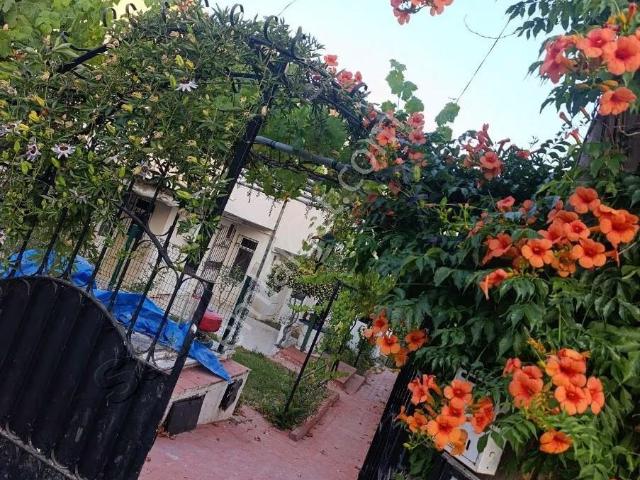 Tekirdağ Süleymanpaşa Bahçelievler Mhde Kiralık Bahçeli Dublex