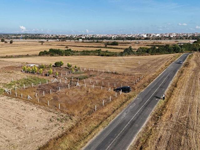 Tekirdağ Saray Yenimahalle'de imara yakın