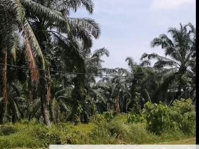 Teluk Gadong
