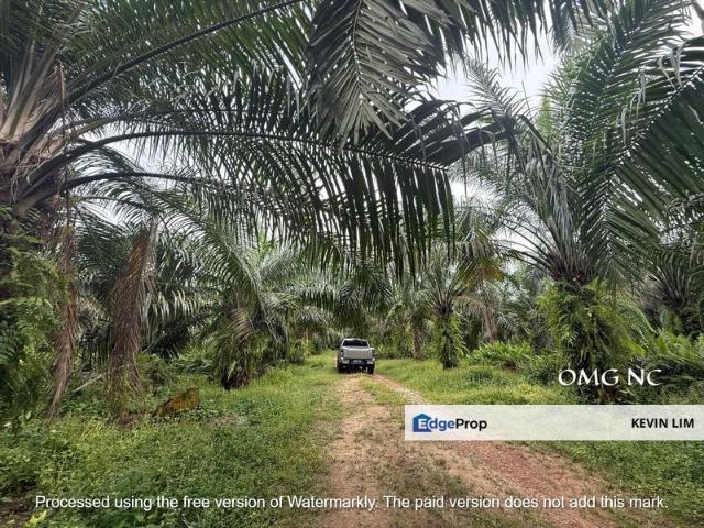 Teluk Panglima Garang