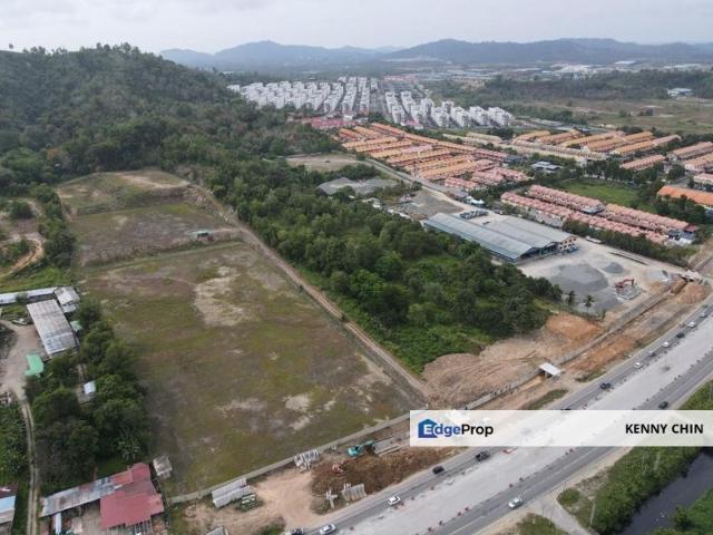 Telipok