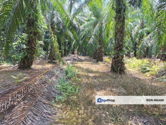 Telok Panglima Garang